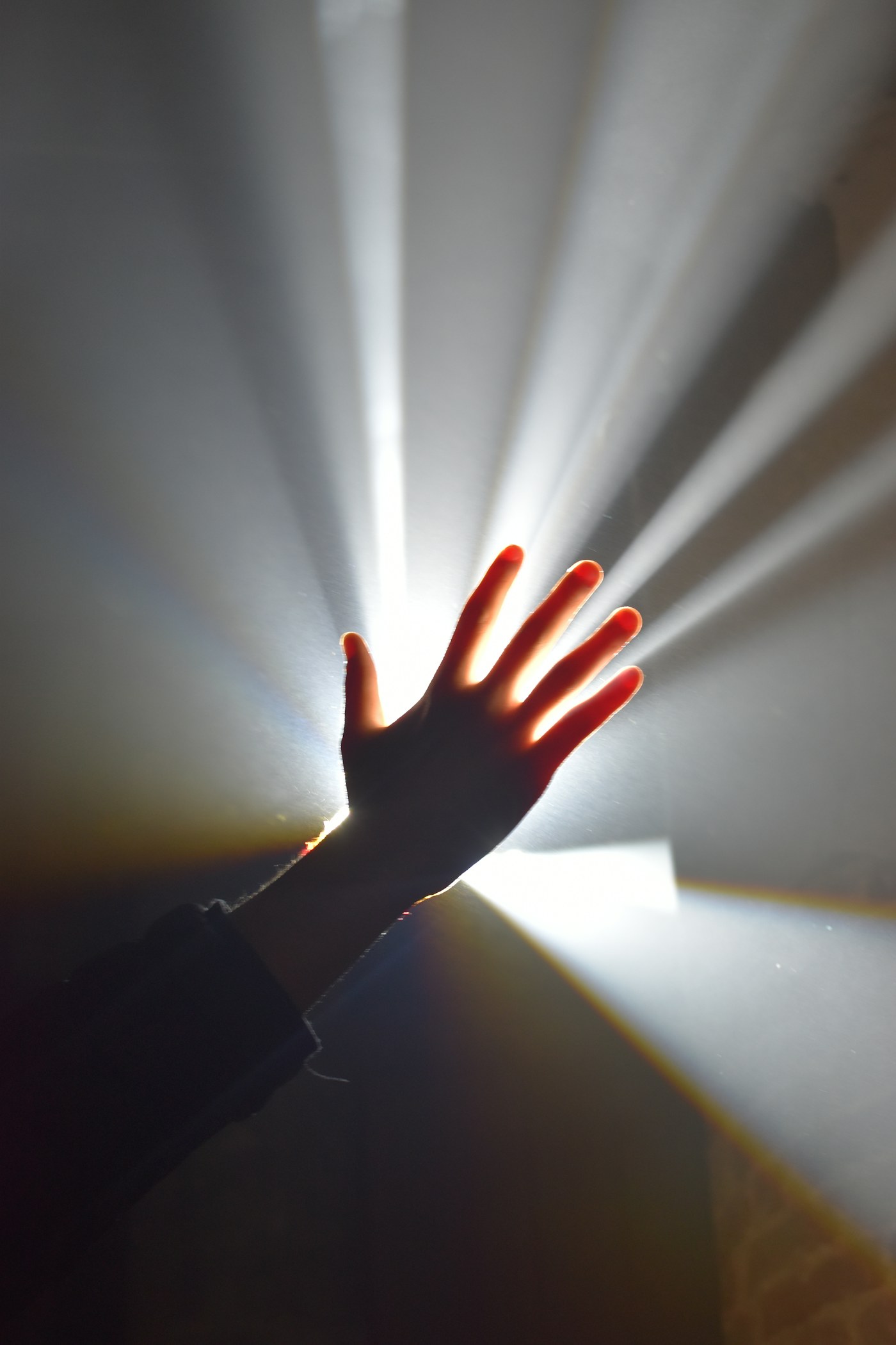 A hand backlit by soft rays of warm light
